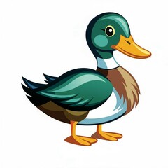 duck illustration 