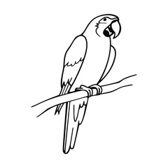 Gemini said

A diverse group of professional colleagues stands together in a bright modern office representing successful teamwork and inclusive corporate culture for high-quality commercial stock pho