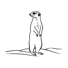 Gemini said

A diverse group of professional colleagues stands together in a bright modern office representing successful teamwork and inclusive corporate culture for high-quality commercial stock pho