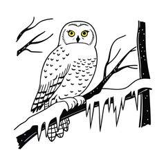 Gemini said

A diverse group of professional colleagues stands together in a bright modern office representing successful teamwork and inclusive corporate culture for high-quality commercial stock pho