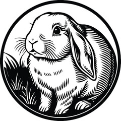 Gemini said

A diverse group of professional colleagues stands together in a bright modern office representing successful teamwork and inclusive corporate culture for high-quality commercial stock pho