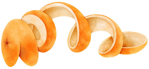 Fototapeta premium tangerine peel watercolor