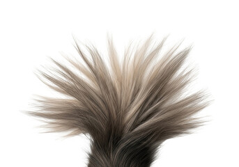 Obraz premium Close-up of a fluffy animal tail with light brown and grey fur against a black background