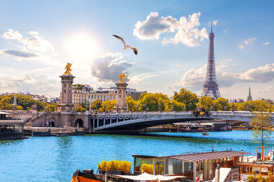 Beautiful Alexandre III Bridge over river Seine with Eiffel Tower behind, Paris, France