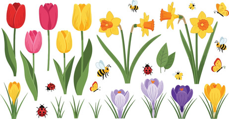 Spring flowers tulips daffodils crocuses ladybugs bees and butterflies isolated on transparent background