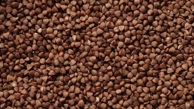 A background of roasted organic buckwheat groats. Close up.