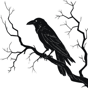  Minimalist horror line art, bold outline, crow perched on bare twisted branch, clean simple shapes 2