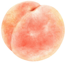 Fototapeta premium Peach fruit watercolor illustration