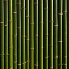 Fototapeta premium A sturdy screen made of fresh green bamboo poles, creating a natural background texture suitable for Asian inspired design and decoration, ecology, sustainable, material