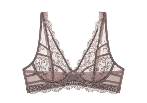 Elegant sheer lace bra with floral embroidery and scalloped edges