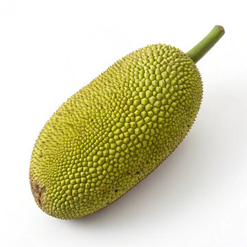 Fresh Whole Jackfruit Isolated on White Background - Tropical Exotic Fruit