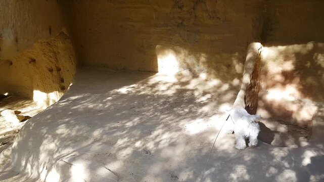 Grottes de Cal&egrave;s (Lamanon)