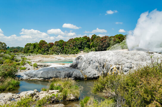 Geothermal Valley Te Puia in Rotorua, New Zealand, featuring steam rising from geothermal vents, vibrant mineral pools with turquoise water, and lush greenery surrounding the area.