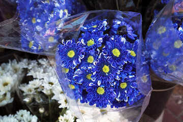 Blue color,,fresh flower bouquets in transparent nylon packaging.Top view.