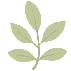 Fototapeta premium Minimal green leaves