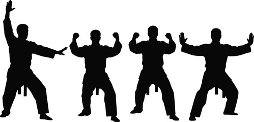 Martial arts silhouettes collection, karate fighter in strong poses, self defense training action, combat sport icons set, isolated vector illustration © Mst