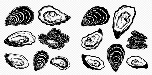 A monochrome graphic set of various oysters, both open and closed, in a vintage engraved style. © Akun