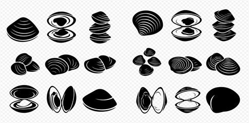 A graphic set of shellfish icons, featuring clams in various arrangements and styles on a transparent background. © Akun