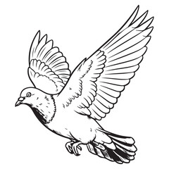 Obraz premium Black and White Line Art Illustration of a Pigeon Flying with Wings Spread