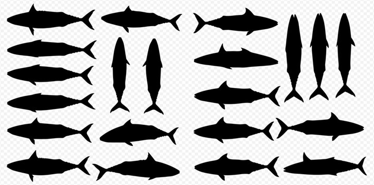 A collection of black shark silhouettes viewed from the side and top, isolated on a white background.