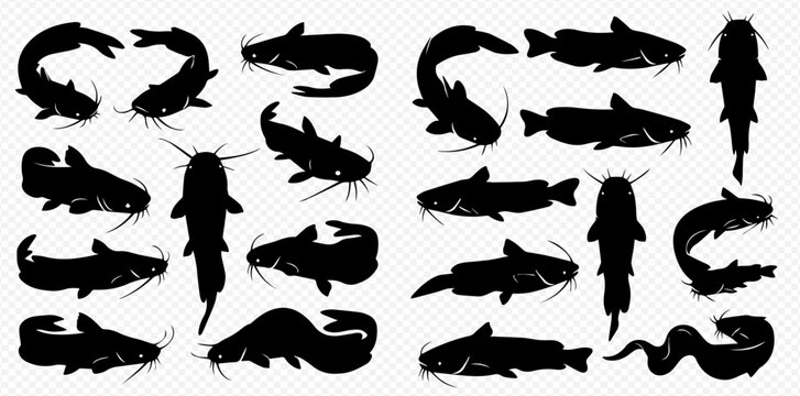 A large collection of black catfish silhouettes in various swimming poses and angles, isolated on a transparent background.