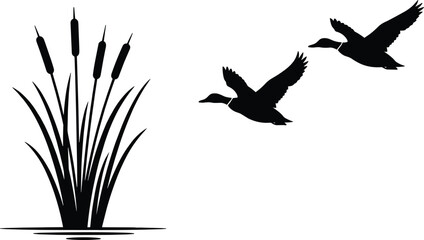 Silhouette illustration of flying ducks with cattails in wetland scene, wildlife design for nature, bird watching, hunting, and aquatic vegetation references © IconicCreations
