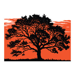 Tree silhouette dramatic orange sky