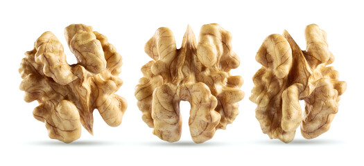 Walnut kernel in closeup on  white background