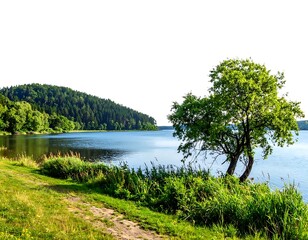 Serene lakeside scene Lush tree by water, grassy bank leads to forest-covered hills under a bright, cloudless, sky