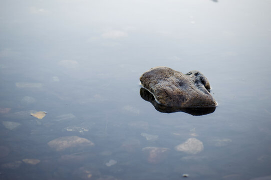 Flat rock in a calm blue stream