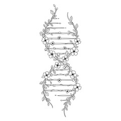 Dna helix botanical illustration with blooming flowers and leaves line art design