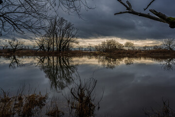 Ein ruhiger Ort mit Wasser, B&auml;umen und Wolken am Abend an einem Fluss