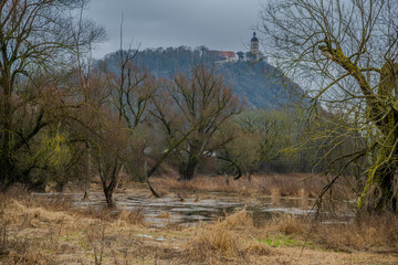 Waldlandschaft mit einem H&uuml;gel und einem Aussichtsturm an einem bew&ouml;lkten Tag