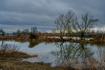 Ein Gew&auml;sser mit B&auml;umen und Pflanzen bei grauem Himmel in der Natur