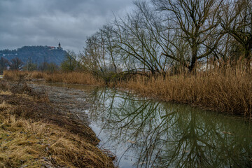 Graslandschaft mit einem ruhigen Gew&auml;sser und einem H&uuml;gel im Hintergrund, viele B&auml;ume und Str&auml;ucher