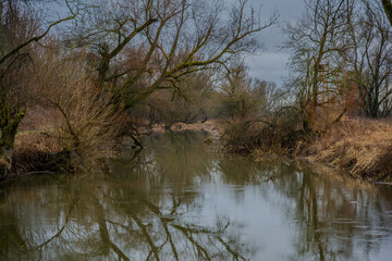 Ein Fluss flie&szlig;t zwischen B&auml;umen und Str&auml;uchern im fr&uuml;hen Morgen unter bew&ouml;lktem Himmel