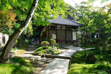 清閑寺 木漏れ日に佇む本堂