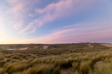 Coastal dunes with long grass at sunset