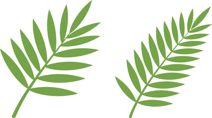 Easter palm sunday branches with green leaves illustration © Ahmed
