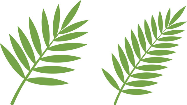 Easter palm sunday branches with green leaves illustration