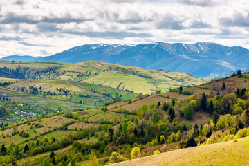 Obraz premium carpathian rural landscape of ukraine in spring. rolling countryside scenery with wooded hills. lovely view to the valley. high mountain range in the background. great place for outdoor photography
