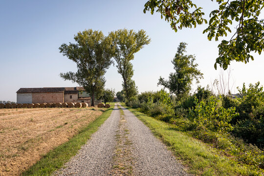 Via Francigena - a gravel road through agricultural fields near San Rocco, municipality of Busseto, province of Parma, Emilia-Romagna, Italy