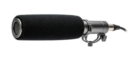 Fototapeta premium Professional Microphone Cardioid Studio Condenser Microphone