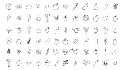 Organic produce doodles, vector vegetables and fruits illustrations