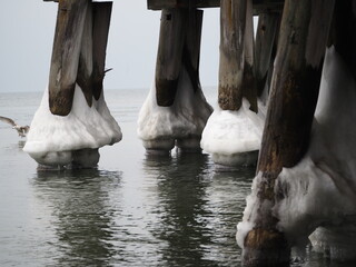 Dewniane słupy oblodzone u podstawy. Zima nad morzem. Molo w Sopocie. © EwaAF