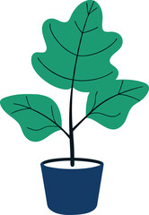 Potted fig plant illustration with three green leaves