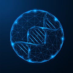 The field of the digital genome. A sphere with a DNA spiral inside. The concept of global biotechnology and genetic research. Low-poly design of interconnected lines and dots, blue background.