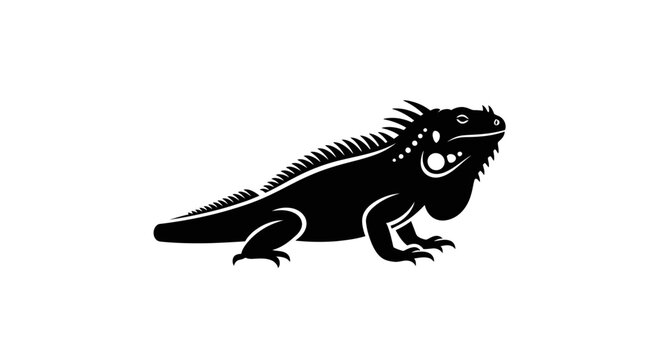 Black Iguana Reptile Side View.