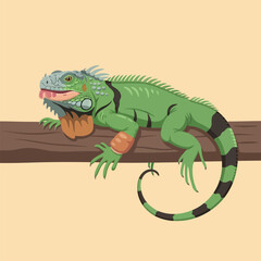 Green Iguana on a Tree Branch