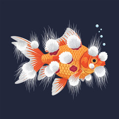 Infected Goldfish With Cotton Wool Disease